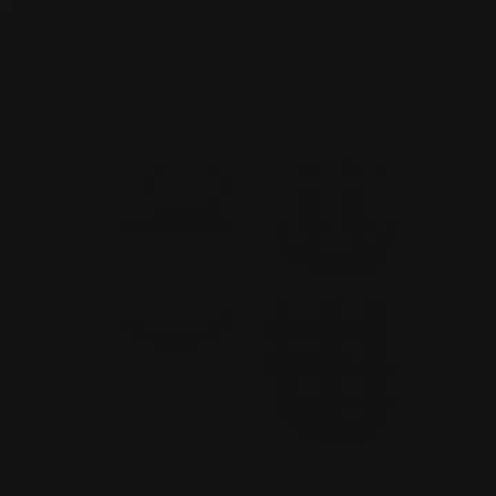 Keychain for Porsche Fans – Crest Shape & Pepita